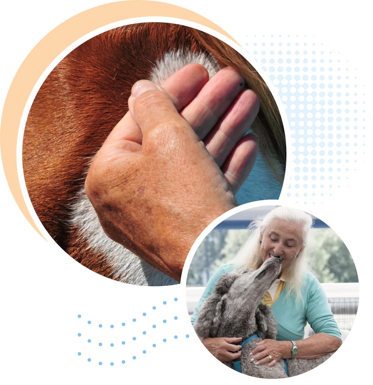 TTouch gentle hand interaction